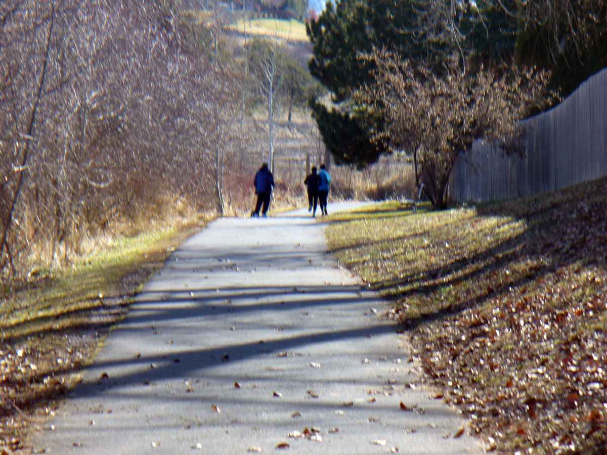 Walkers by Susan Fluegel